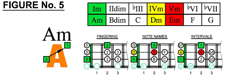 Am box shapes and scale chords