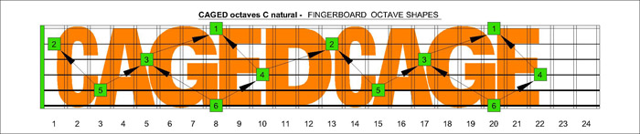 CAGED octaves C natural