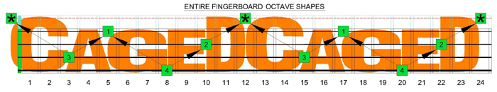 4bass CAGED octaves