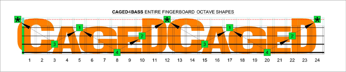 CAGED4BASS octave shapes