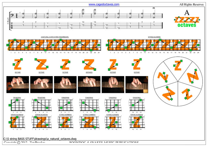 A natural octaves box shapes