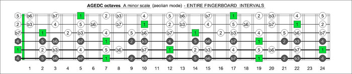 AGEDC octaves drop D fretboard A minor scale intervals
