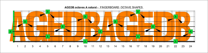 AGEDB octaves A natural fingerboard