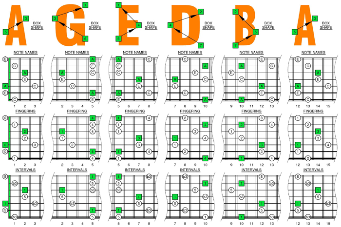 AGEDB octaves A minor scale box shapes