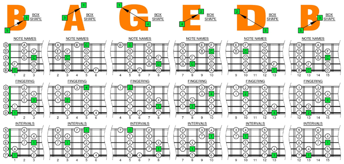 BAGED octaves C major scale box shapes