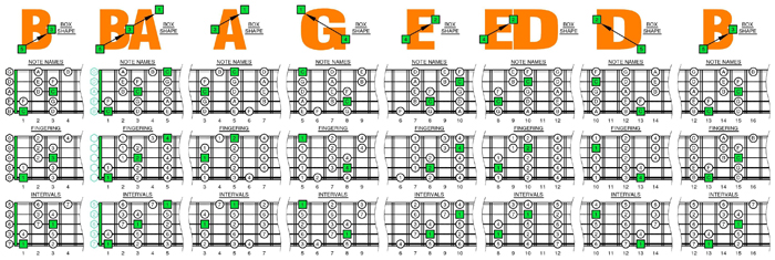 BAGED octaves C major scale 3nps box shapes