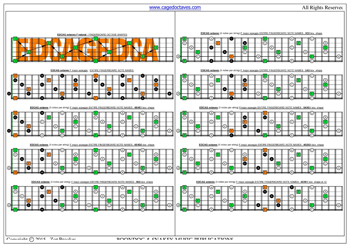 EDCAG octaves F major arpeggio (3nps) box shapes : entire fretboard notes