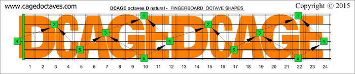 DCAGE octaves fingerboard : D natural octaves