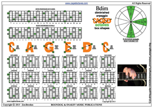 CAGED octaves B diminished arpeggio box shapes pdf