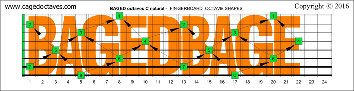 BAGED octaves : C natural