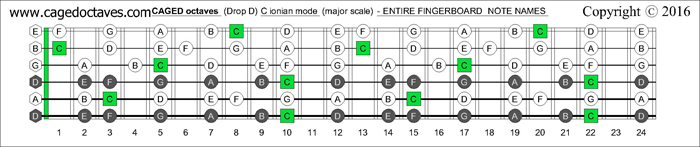 CAGED octaves Drop D fretboard C major scale notes