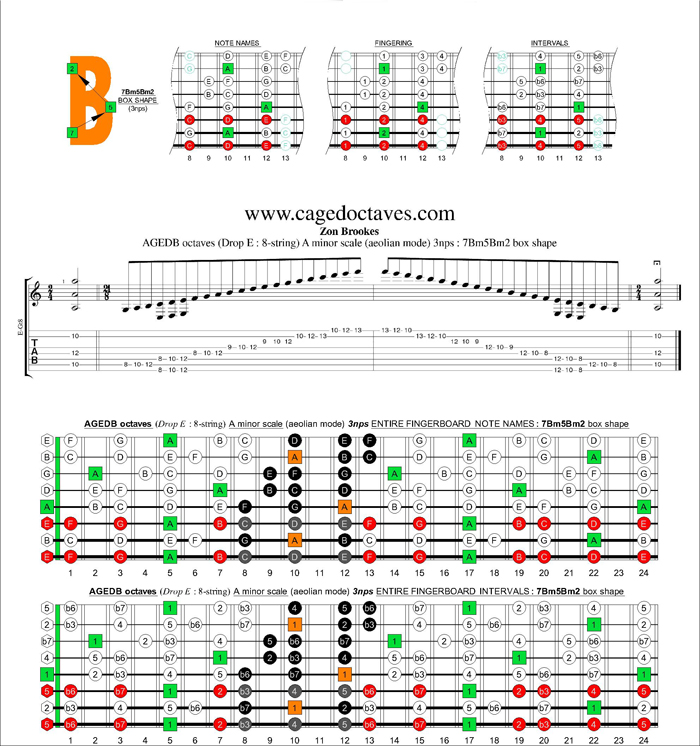 AGEDC octaves (8-string : Drop E) A minor scale (aeolian mode) 3nps : 7Bm5Bm2 box shape