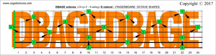 DBAGE octaves fingerboard : D natural octaves