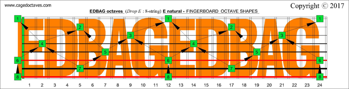 EDBAG octaves fingerboard : E natural octaves