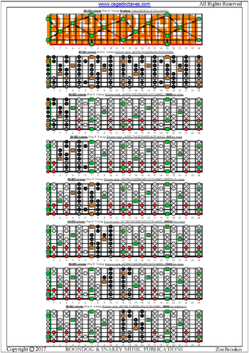 BAGED octaves (8-string: Drop E) fingerboard B locrian mode notes pdf