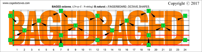 BAGED octaves fingerboard: B natural octaves