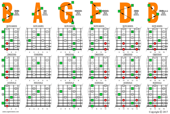 B diminished arpeggio (8-string: Drop E) box shapes