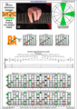 BAGED octaves B diminished arpeggio (3nps) : 7B5A3 box shape at 12 pdf