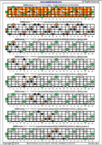 AGEDB octaves A minor-diminished arpeggio box shapes : entire fretboard intervals