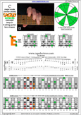 CAGED octaves (6-string guitar : Drop D - DADGBE) C major scale(ionian mode) : 6E4E1 box shape pdf