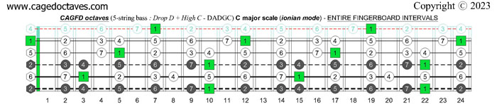 5-String Bass (Drop D + High C - EADGC): C major scale (ionian mode) fingerboard intervals