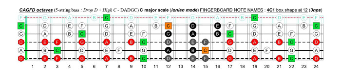 5-string bass (Drop D + High C - EADGC) C major scale (ionian mode): 4C1 box shape at 12 (3nps)