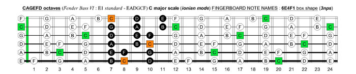 CAGEFD octaves Fender Bass VI (E1 standard - EADGCF) C major scale (ionian mode): 6E4F1 box shape (3nps)