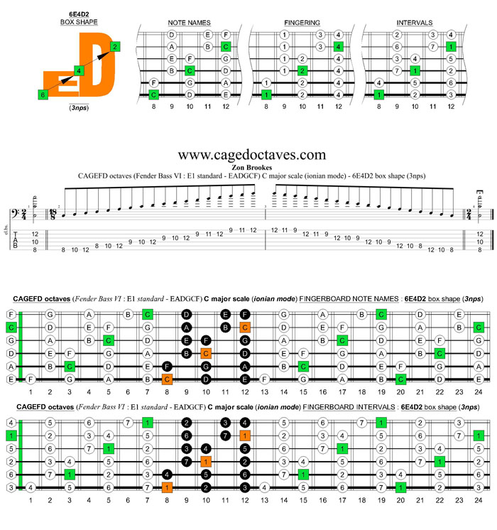 CAGEFD octaves Fender Bass VI (E1 standard - EADGCF) C major scale (ionian mode): 6E4D2 box shape (3nps)