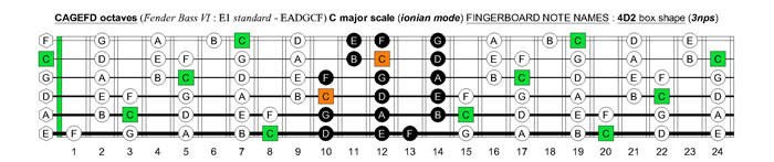 CAGEFD octaves Fender Bass VI (E1 standard - EADGCF) C major scale (ionian mode): 4D2 box shape (3nps)