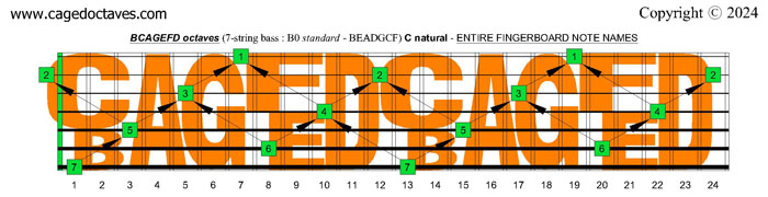 BCAGEFD octaves 7-string bass (B0 standard - BEADGCF) fingerboard: C natural octaves