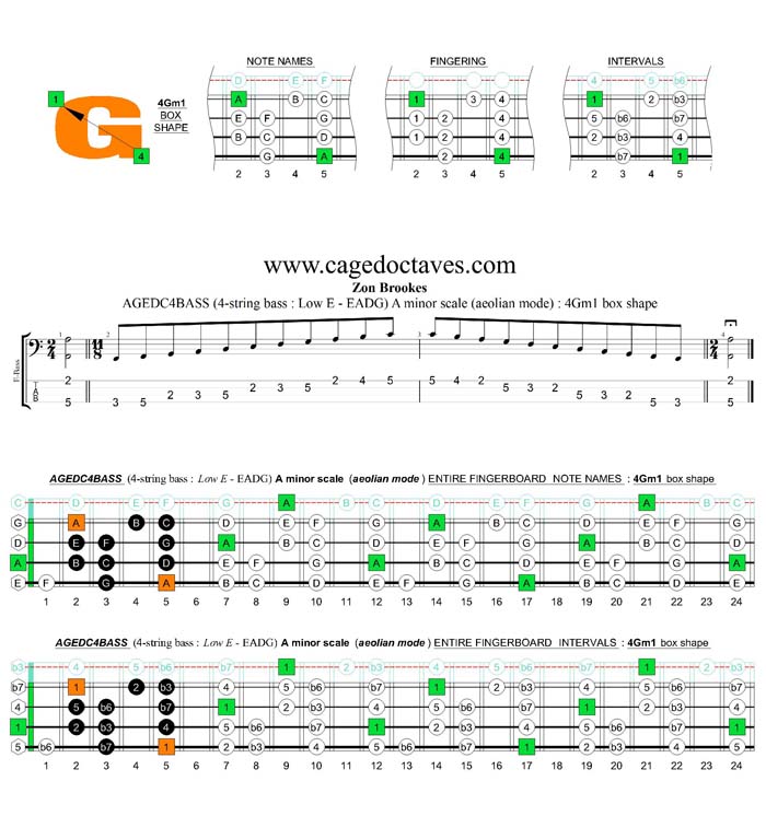 AGEDC4BASS (4-string bass : Low E) A minor scale (aeolian mode) : 4Gm1 box shape