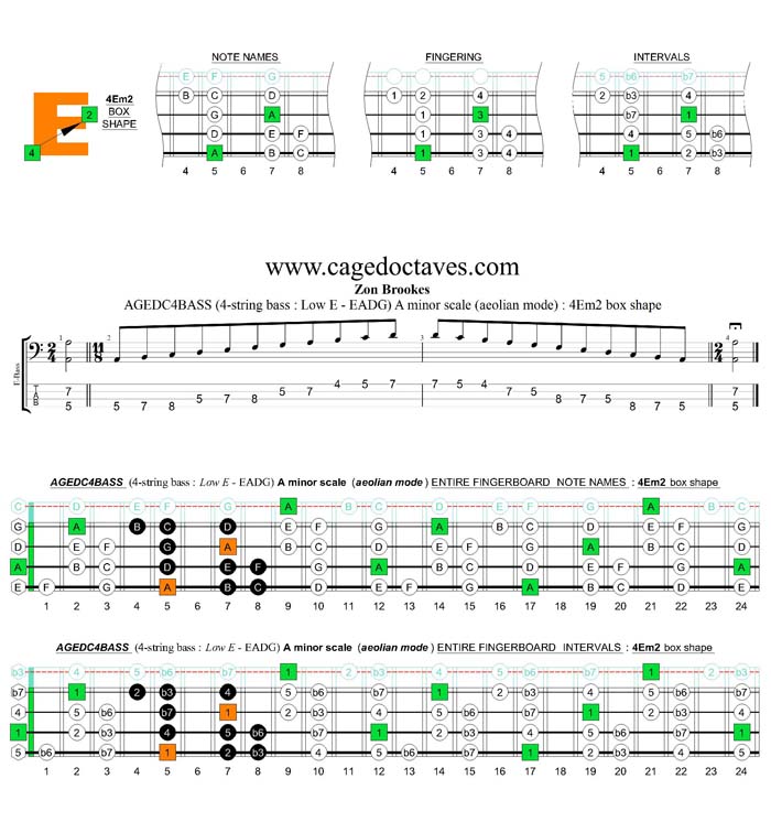 AGEDC4BASS (4-string bass : Low E) A minor scale (aeolian mode) : 4Em1 box shape
