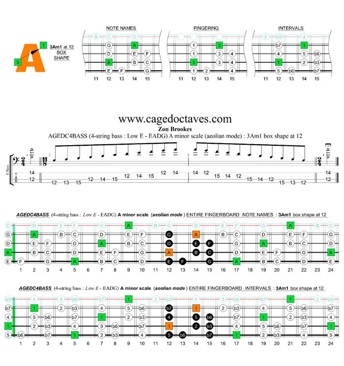 AGEDC4BASS (4-string bass : Low E) A minor scale (aeolian mode) : 3Am1 box shape at 12
