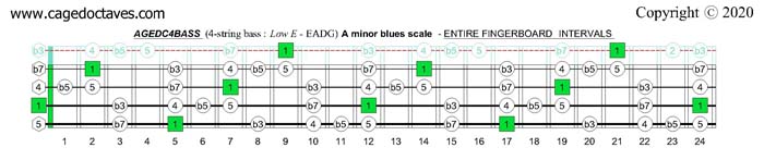 A minor blues scale : AGEDC4BASS fingerboard intervals