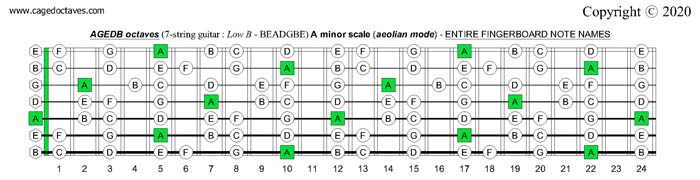 AGEDB octaves (7-string guitar): A minor scale (aeolian mode) entire fretboard notes