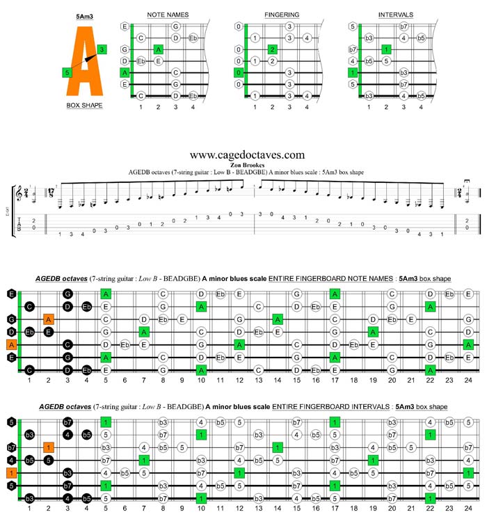 AGEDB octaves A minor blues scale : 5Am3 box shape