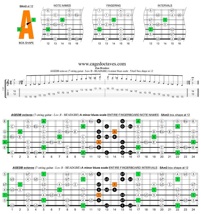 AGEDB octaves A minor blues scale : 5Am3 box shape at 12