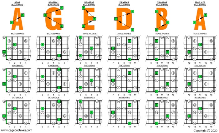 AGEDB octaves A minor-diminished arpeggio box shapes