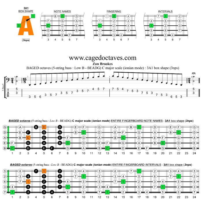 5-String Bass (Low B) C major scale (ionian mode) 3nps : 3A1 box shape