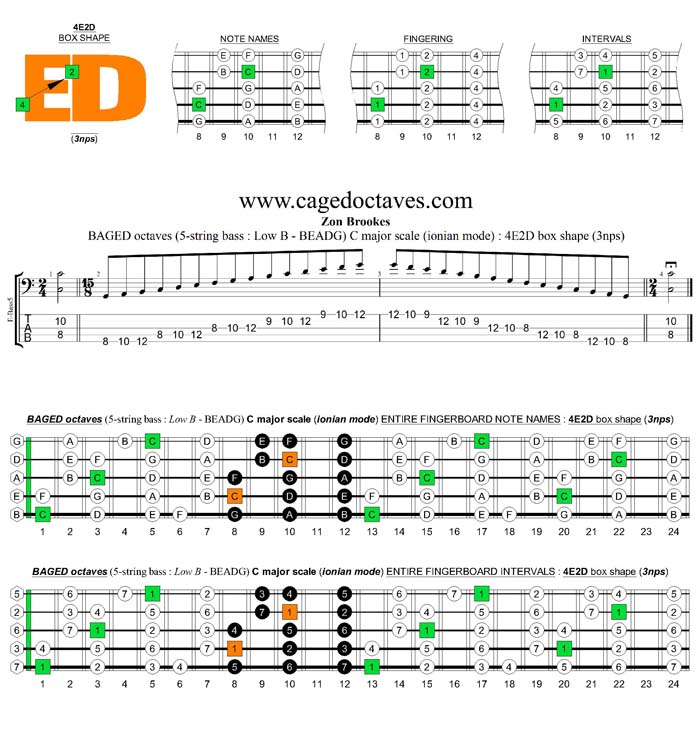 5-String Bass (Low B) C major scale (ionian mode) 3nps : 4E2D box shape