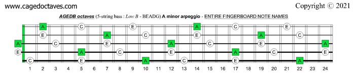 AGEDB octaves fingerboard A minor arpeggio note names