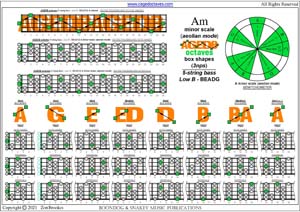 AGEDB octaves A minor scale (aeolian mode)3nps box shapes pdf