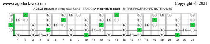 AGEDB octaves fingerboard A minor blues scale note names