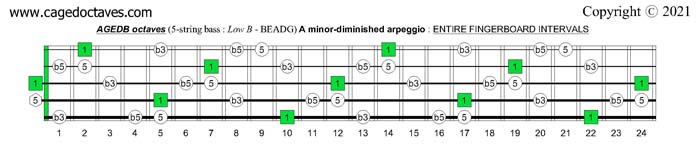 AGEDB octaves fingerboard A minor-diminished arpeggio note intervals