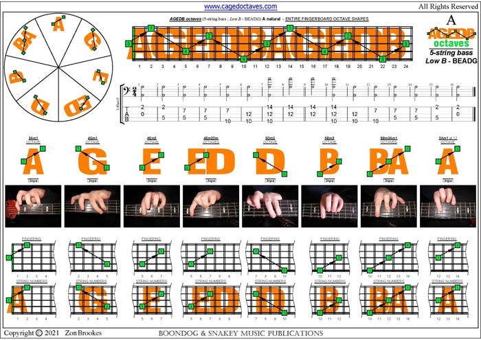 AGEDB octaves (5 string bass (Low B - BEADG) A natural octave shapes (3nps) pdf