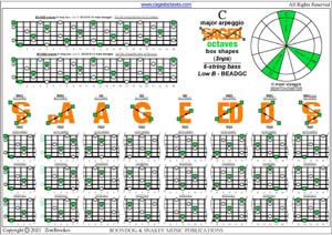 BCAGED octaves (Low B - BEADGC : 6-string bass) C major arpeggio (3nps) box shapes