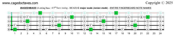 BAGED4BASS (4/5ths bass tuning - BEAD): C major scale (ionian mode) fingerboard notes