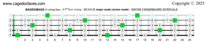 BAGED4BASS (4/5ths bass tuning - BEAD): C major scale (ionian mode) fingerboard intervals