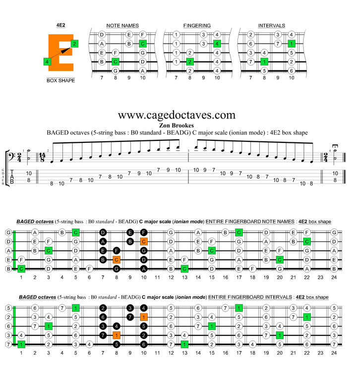 BAGED octaves (5-string bass : B0 standard - BEADG) C major scale (ionian mode) : 4E2 box shape