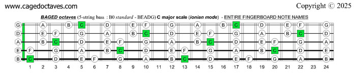 BAGED octaves (5-string bass : B0 standard - BEADG) C major scale (ionian mode) : entire fretboard notes